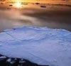 Озера Антарктиды грозят миру водным прорывом