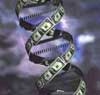 Генетики обнаружили разрушительное влияние газировки на ДНК