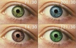 Работоспособность человека зависит от цвета глаз