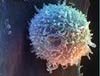 Ученые создали вирус, который способен излечить от рака