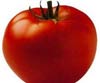 Похудеть быстро не проблема: томатная диета