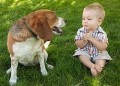 Маленькие дети оказались способны понимать собак