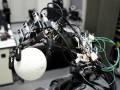Японский профессор создал роботов-бейсболистов