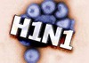 Профилактика свиного гриппа: готовимся к бою
