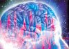 Электронный человеческий мозг обещают в течении 10 лет
