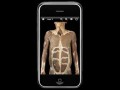 Программа для iPhone заменила анатомический театр