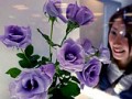 Японские учёные вырастили голубые розы. Помогли анютины глазки