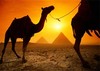 Египет будет принимать только женатых иностранцев?