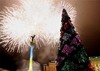 Киев готовит новогоднюю елку
