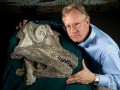 В США нашли черепа неизвестных динозавров
