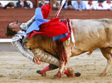 В Испании бык нанизал на рога голову матадора (Видео) 