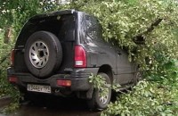 Ураган в Москве повалил 900 деревьев. Есть пострадавшие 