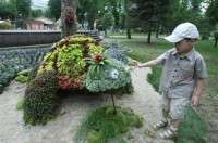 В Киеве появился Чебурашка из цветов 