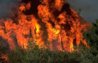 В Канаде горят леса. Готовится эвакуация людей 