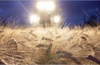 Власть блокирует экспорт зерновых из Украины 