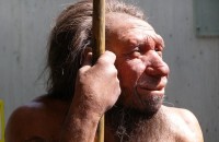 Неандертальцы умели сострадать, - ученые 