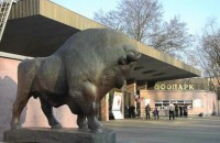 В Киевском зоопарке пропало 47% животных, - СМИ
