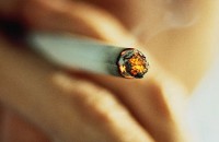 Сигареты с ментолом опаснее обычных сигарет 
