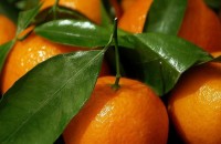 Мандарины и апельсины лечат сердце, - ученые 