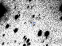 Астрономы сфотографировали комету на рекордном расстоянии