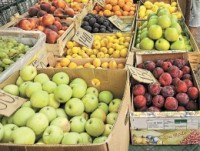 Летние фрукты и овощи могут нанести организму непоправимый вред