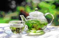 Зеленый чай - основа противораковых препаратов