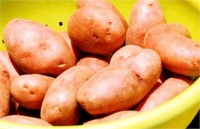 Медики установили, что картофель снижает кровяное давление