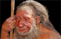 Неандертальцы стали жертвой собственного успеха, - ученые 