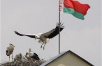 ЕС призывает Беларусь прекратить преследование оппозиции