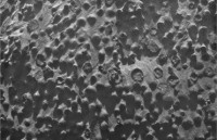 На Марсе обнаружили необычное скопление маленьких сферических объектов 