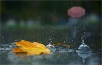 Дожди в Украине начнутся с 19 сентября, - Гидрометцентр 