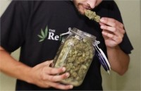 В Колорадо легализовали марихуану в профилактических целях 