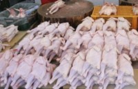 Россельхознадзор обнаружил опасные бактерии в украинской курятине
