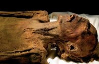 Ученые: Фараона Рамзеса III зарезали жены и сын 