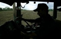 Продолжительные дожди грозят Украине потерей половины урожая зерновых в следующем году - Forbes 