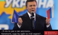 Украинская политика: пора назвать кошку – кошкой, негодяя – негодяем, а мошенника – мошенником.