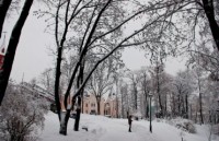 Завтра в Украину придет настоящая зима с метелями и гололедицей 