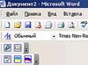 Microsoft     Word
