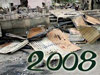  2008 .   