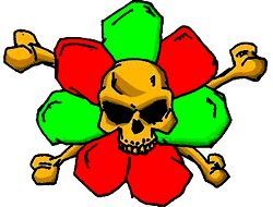  ICQ   